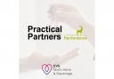Practical Partners