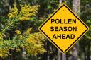 Check the pollen count forecast in the Bradford district before you head out this week