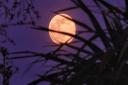 Tomorrow's full moon will be a supermoon - brighter and closer to earth than normal