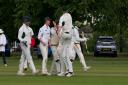 Redbourn players celebrate a key wicket against Stoke Green