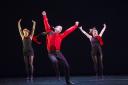 A scene from Rooster by Christopher Bruce and Rambert Dance Company - 
photo by �Tristram Kenton