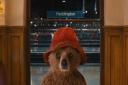 Paddington can be seen on Channel 4 on New Year's Eve