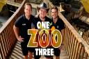 Paradise Wildlife Park's Tyler, Aaron and Cam Whitnall will return in a new series of One Zoo Three for CBBC.