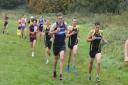 North Herts Road Runners in action at Cheshunt in the Sunday Cross-Country League.