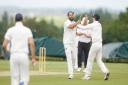 Shaftab Khalid celebrates taking a wicket for Hitchin against Leverstock Green
