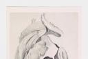 Georgia O’Keeffe, Goat’s Horns II, 1945, from Some Memories of Drawings, 1974 © Georgia O’Keeffe Museum/DACS, London 2022.