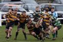 Letchworth opened up the new RFU Community Cup with victory over Tottonians. Picture: MARK TATE