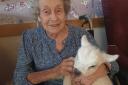 Knebworth care home resident with Lucy the lamb.