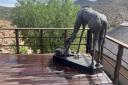 The bronze giraffe and calf sculpture created by Stevenage artist Georgean Lochhead has been bought by a game reserve in South Africa