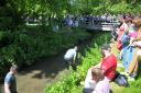 The famous annual Swindon duck race