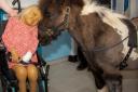 Thea loved it when therapy ponies visited the children's ward at Lister Hospital in Stevenage.