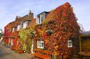 Autumal tints and tastes at the Bricklayers Arms, Flaunden. Photo Bricklayers Arms
