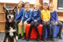 Pupils at Martins Wood Primary School in Stevenage with Paddington the dog.