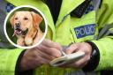 A dogwalker reportedly threatened to kill another dogwalker in Stevenage.