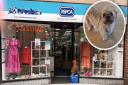 The RSPCA’s Hitchin charity shop has been hit by shoplifters over the last month