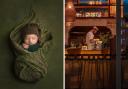 Two Hertfordshire photographers have been recognised at the 2023 Image of the Year competition.