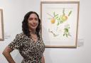 Nina Mayes pictured at the Royal Birmingham Society of Artists next to her painting of the Hitchin Pippin