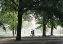 Parkrun - A stock image of runners in a park
