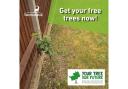 Free tree scheme ‘Your Tree Our Future’ returns
