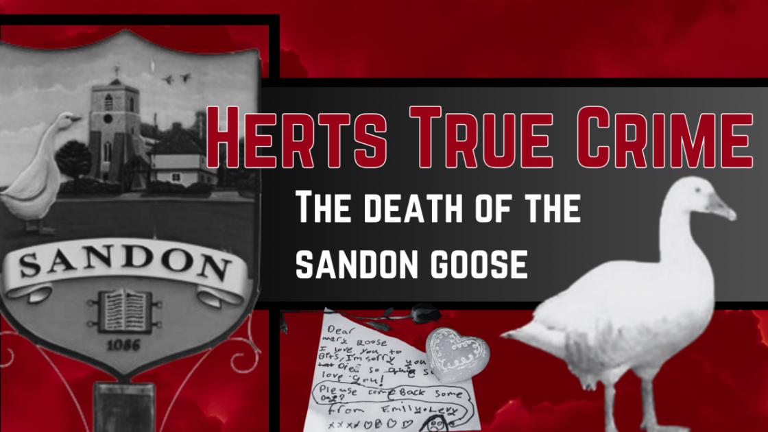 Herts True Crime: the shocking death of the Sandon Goose 