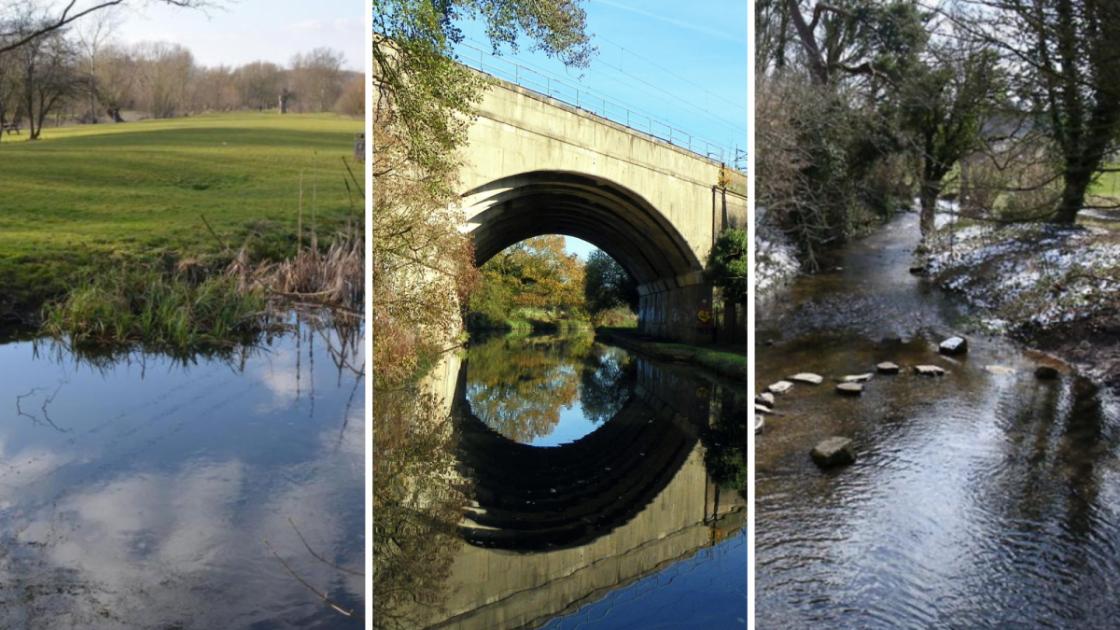 Which Hertfordshire rivers are being pumped with sewage? 