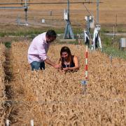 Dr Laura-Jayne Gardiner from IBM Research Europe and Prof Anthony Hall, group leader at the Earlham Institute, have developed technology to better understand the circadian rhythm of plants, which could improve crop yields