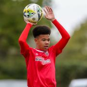Dave McAdam is plotting more youth success at Baldock Town along the lines of Lewis Franklin.
