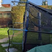 Storm Eunice has caused havoc in Hertfordshire residents' gardens