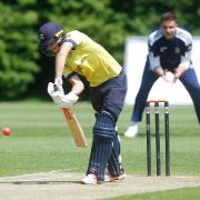 Josh De Caires scored an unbeaten 41 as Radlett eased to a quick win over West Herts.
