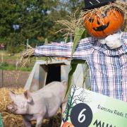 There will be a scarecrow trail at Church Farm Ardeley for Halloween