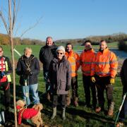 Councillors, officers and volunteers help to plant the trees at Fairlands Valley Park in Stevenage.