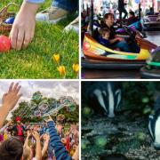 Easter activities you can enjoy for under £30 in Hertfordshire.