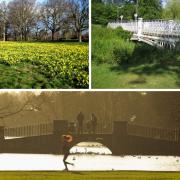 We've put together a list of some of the best parks in Hertfordshire.