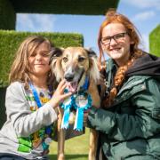 There will be plenty for families to enjoy at DogFest 2023
