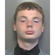 Riley, 16, has gone missing from Stevenage.