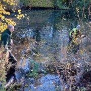 Volunteers waded through the pond to clear the rubbish.