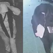 CCTV images have been released following damage at Hitchin Rugby Club.