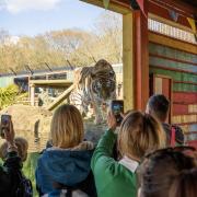 Hertfordshire Zoo in Broxbourne is home to over 800 animals