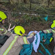 Firefighters worked together with the RSPCA to free the trapped white fallow deer.
