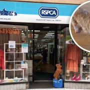 The RSPCA’s Hitchin charity shop has been hit by shoplifters over the last month