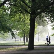 Parkrun - A stock image of runners in a park