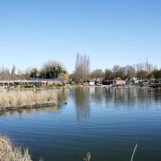 Stanborough Lakes in Welwyn Garden City