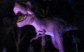 Dinos After Dark returns to World of Dinosaurs at Paradise Wildlife Park in Hertfordshire.